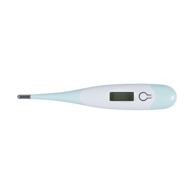 Alecto Digitale Thermometer Mint