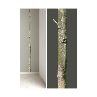 KEK AMSTERDAM Home Tree Muursticker 5 x 260 cm