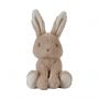 Little Dutch Baby Bunny Knuffel - 15 cm