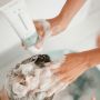Naïf Bundel Shampoo En Wasgel