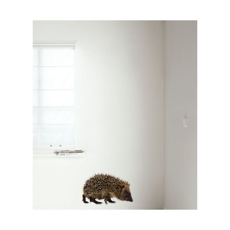 KEK AMSTERDAM Forest Friends Muursticker Hedgehog XL
